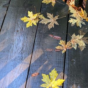 Meet your Posher, Tin